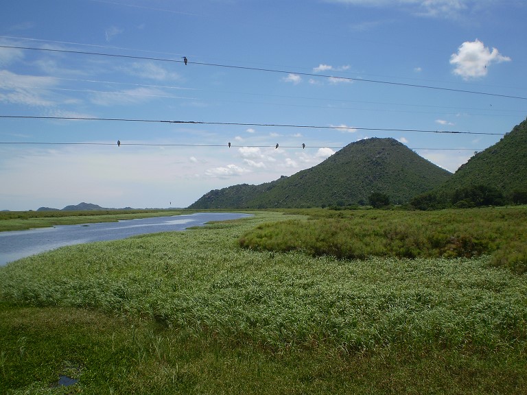 生态系统服务湿地尼罗河坦桑尼亚2019