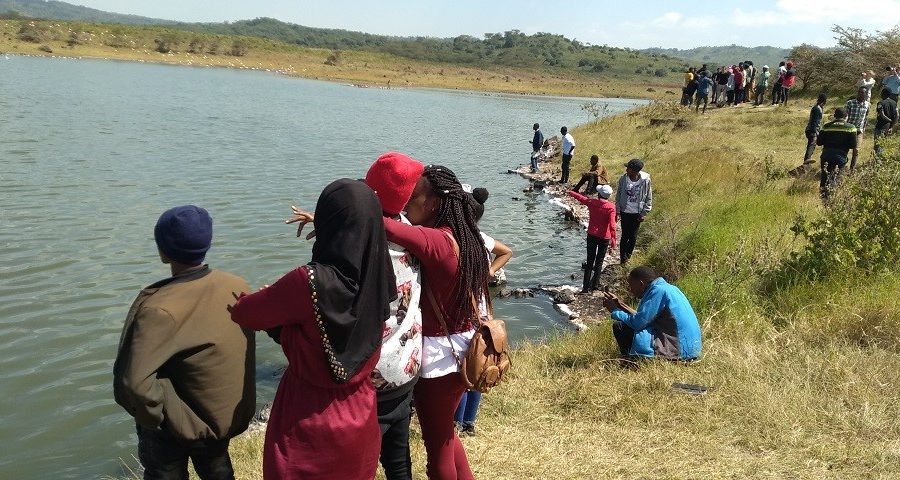 学生在ANAPA观察大莫梅拉湖湿地生态系统。湖中氟化物浓度高，有利于微藻生长