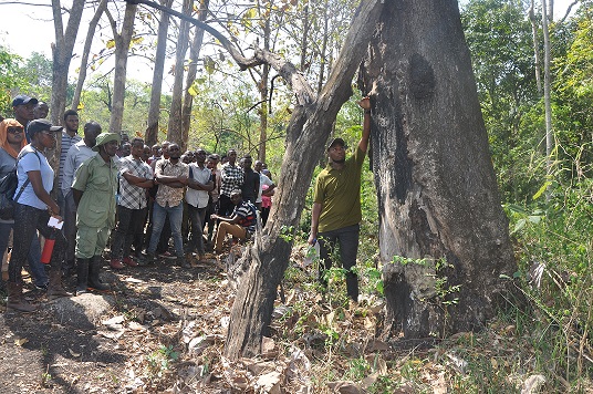 金伯扎森林保护区森林保护与生态恢复野外实训