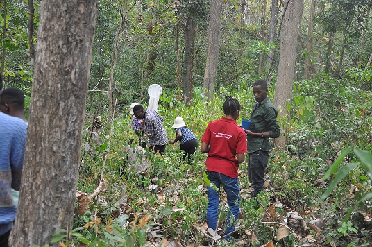金伯扎森林保护区森林保护与生态恢复野外实训